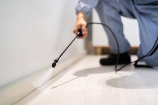 Bed Bug Pre-Treatment Preparation Assessment in Cuero