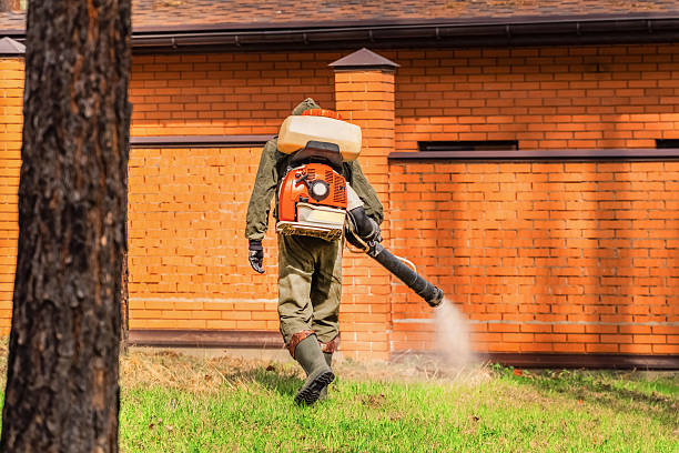 Bed Bug Clearance Verification and Documentation in Cuero